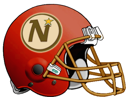 Budapest North Stars helmet