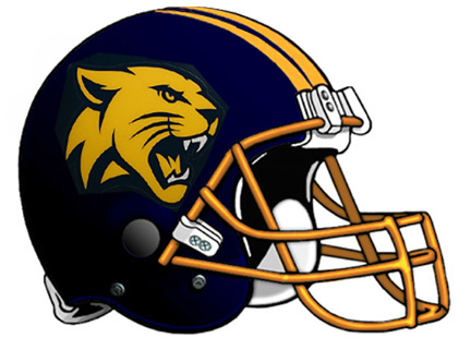 Weston Wildcats helmet